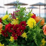 Mercure Hotel Larnaca