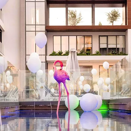 酒店 Mercure 拉纳卡